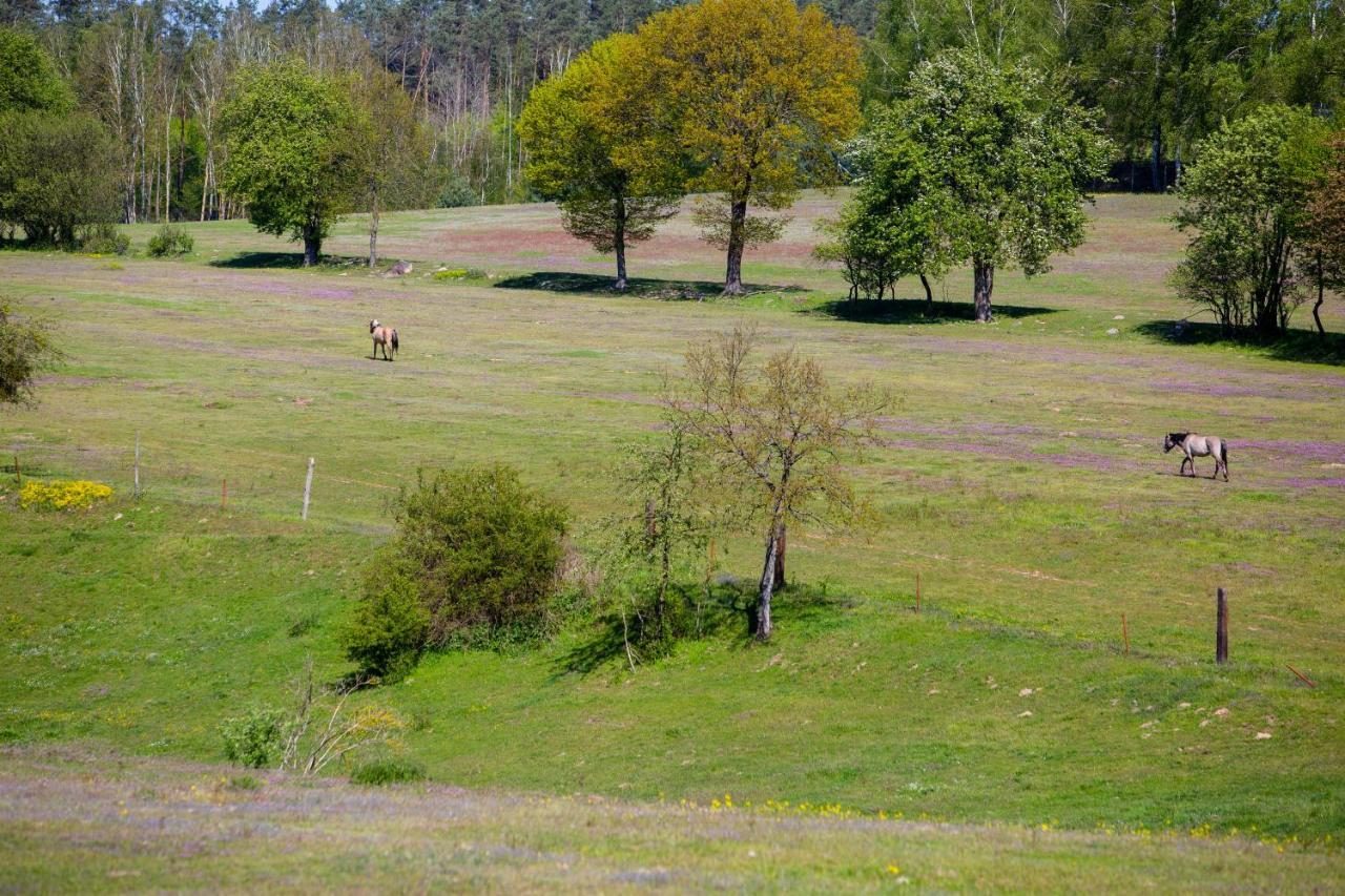 Przystan Lagowek - Domki Letniskowe Esterno foto
